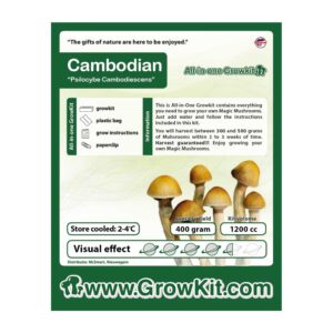 Growkit Cambodian 1200 zestaw uprawa grzyby
