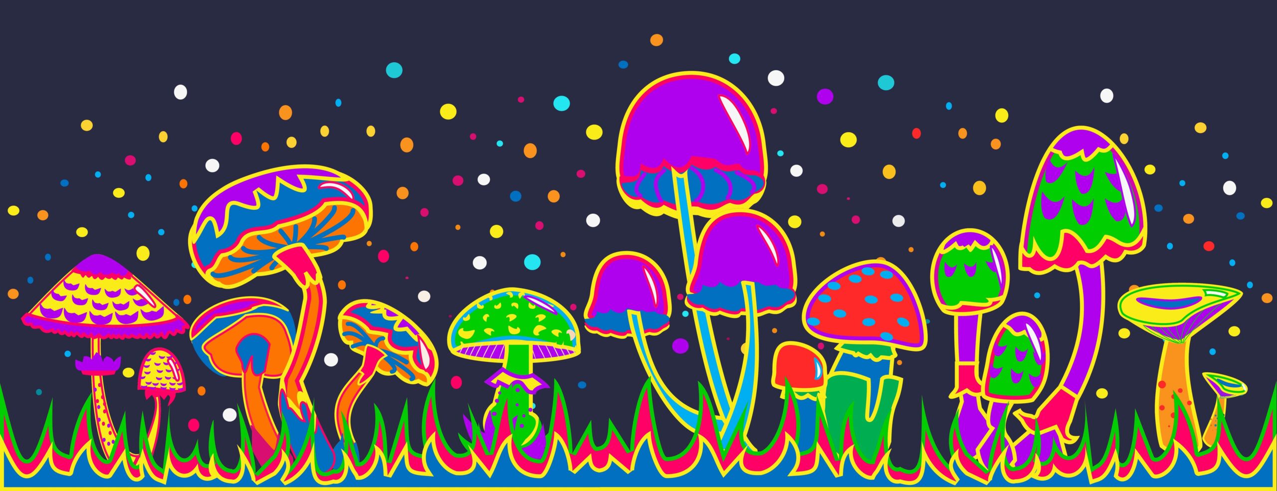 magic mushroms