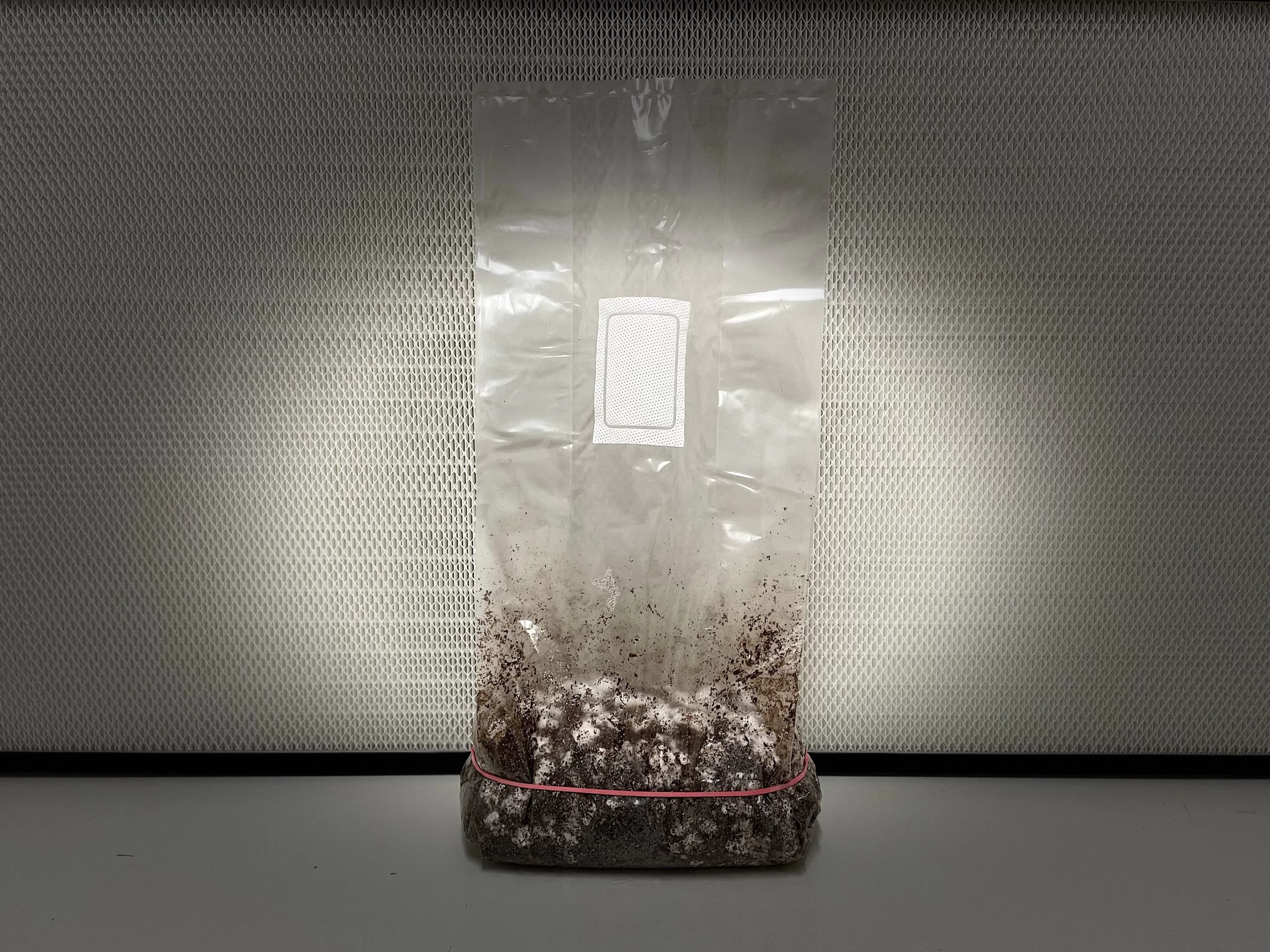 GROWKIT MAKILLA GORILLA FULL AUTO 2200ML - obrazek 2