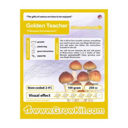 GrowKit Golden Teacher (Psilocyne Aurumescens) 250ml